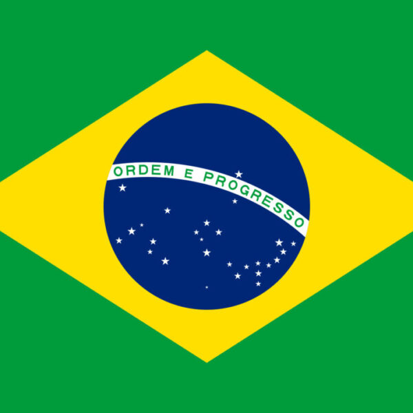 Gæsteflag Brasilien