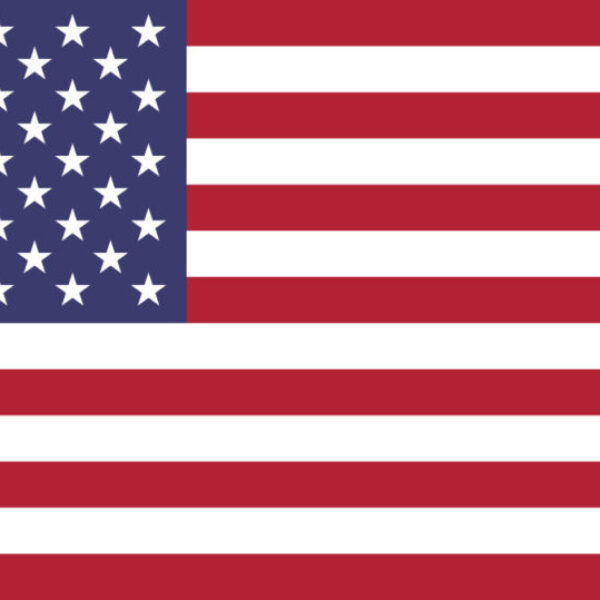 Gæsteflag USA