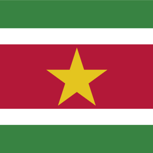 Gæsteflag Surinam