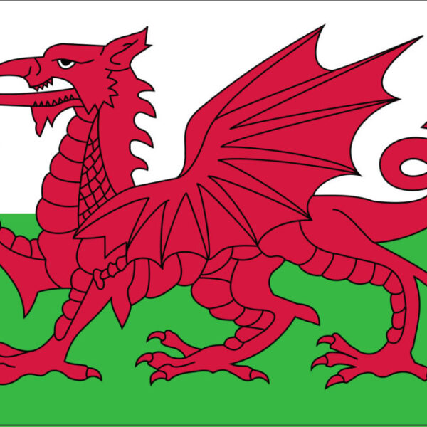 Gæsteflag Wales