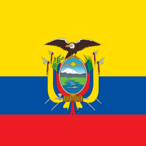 Gæsteflag Equador