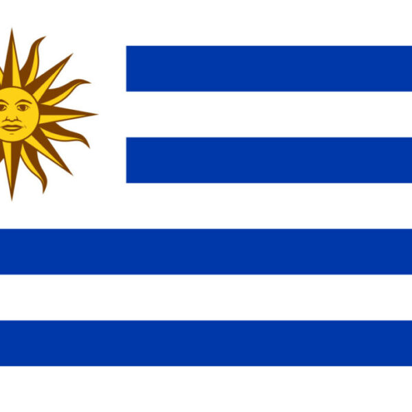 Gæsteflag Uruguay