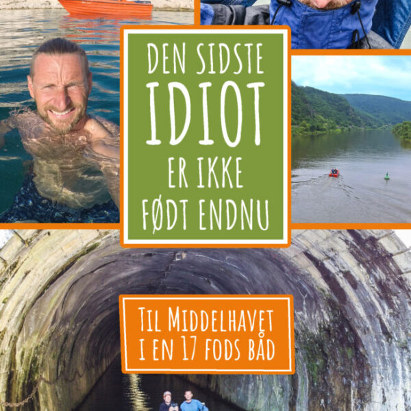 Den sidste idiot er ikke født endnu